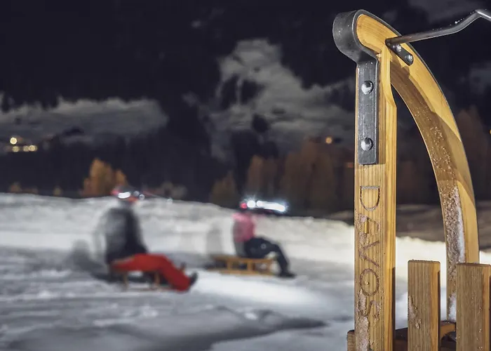 Berghostel Rinerhorn By Mountain Albergue *